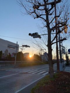 本年も宜しくお願い申し上げます。