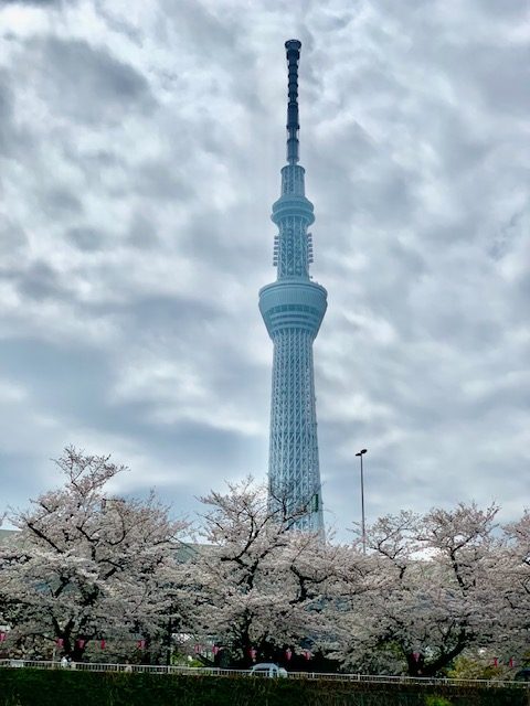 現場レポート∼逗子Part2∼