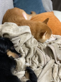 現場レポート∼高円寺∼