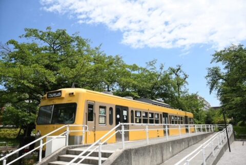 塗魂ペインターズ~久米川電車図書館~